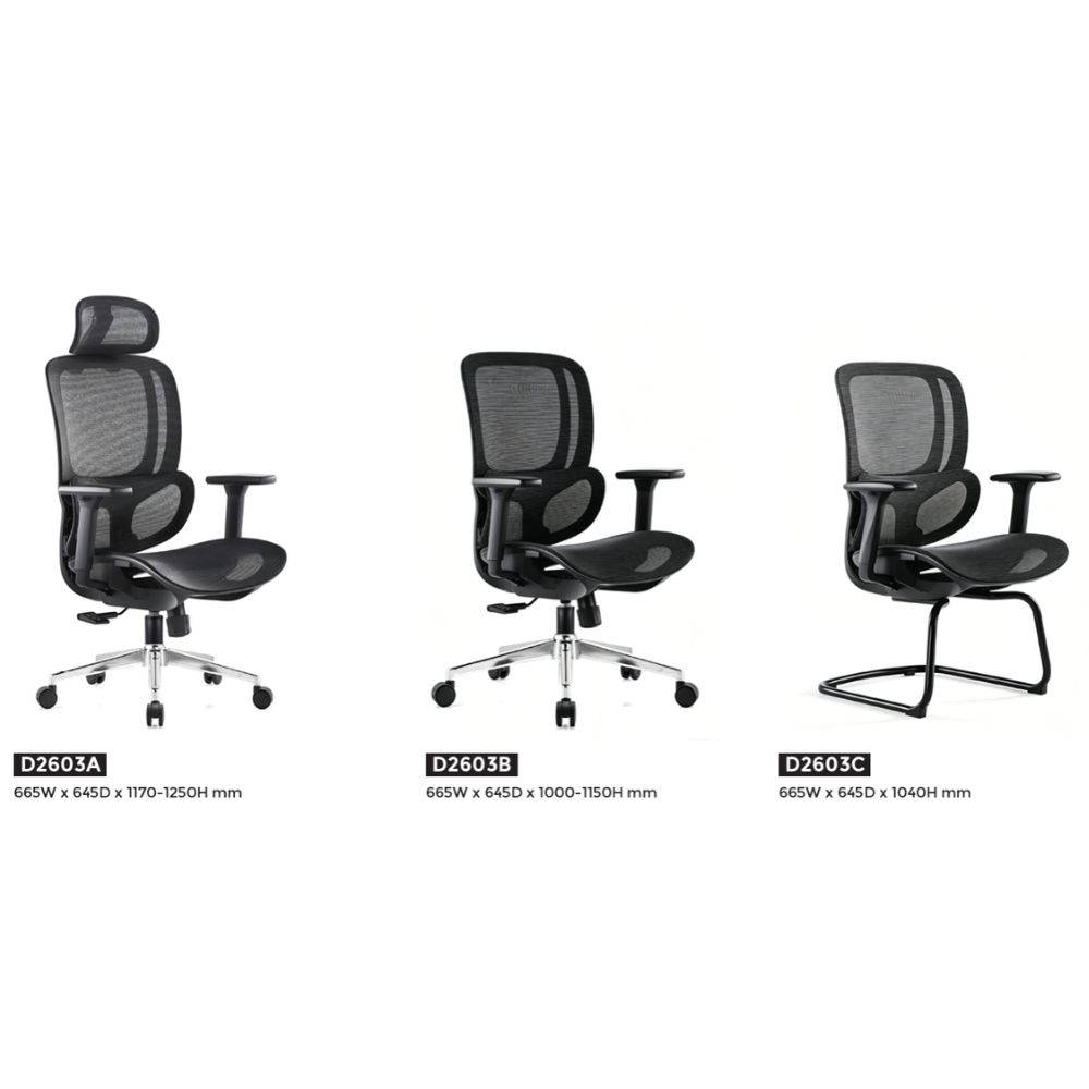 ERGONOMIC EXECUTIVE CHAIR SERIES 1.0 MODEL D2603