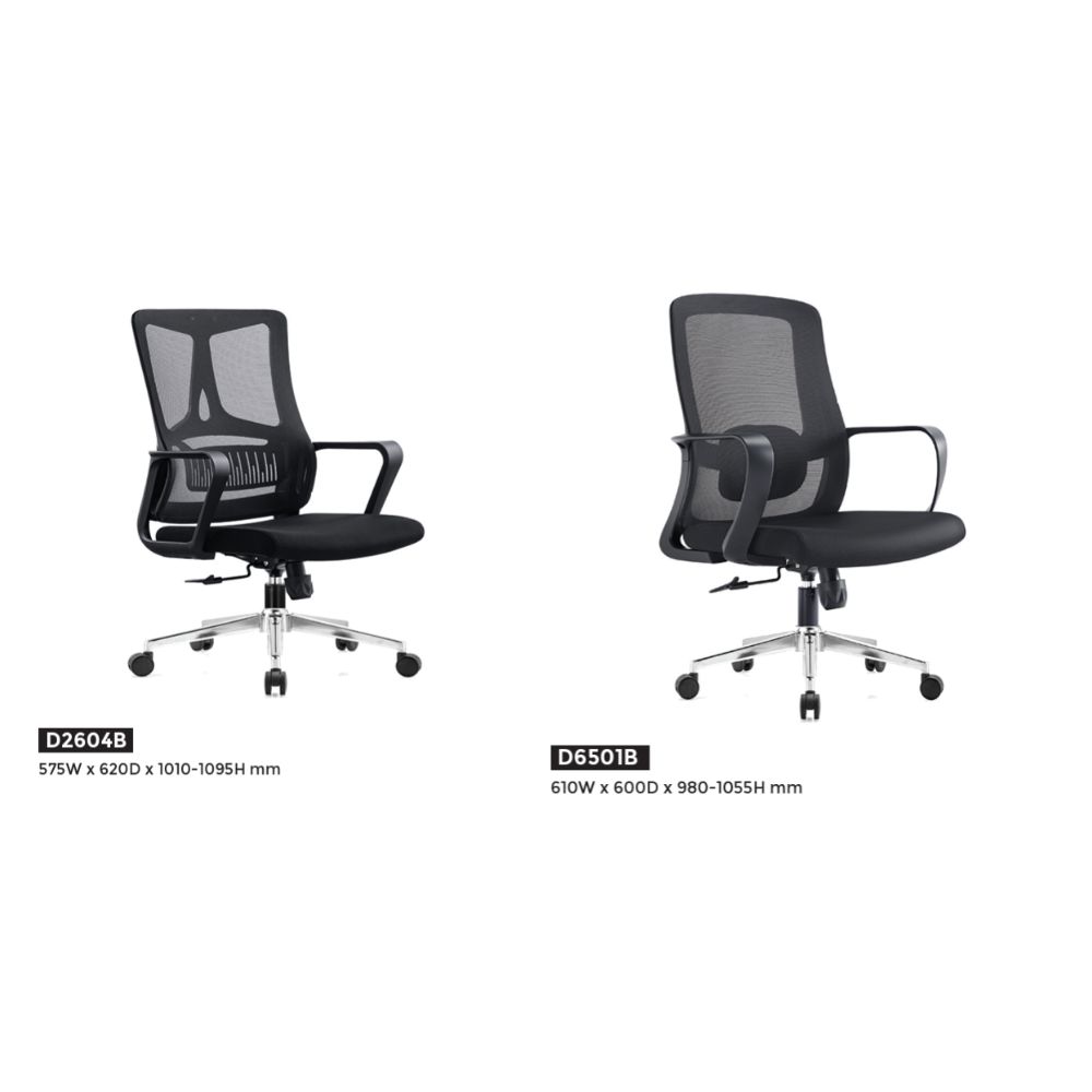 ERGONOMIC EXECUTIVE CHAIR SERIES 1.0 MODEL D2604B & D6501B
