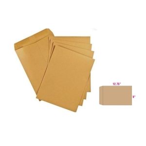 PIGEON BROWN ENV. 120G 9X12.75" P&S